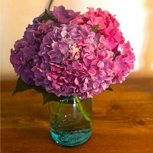 Meet your Posher, Brandi